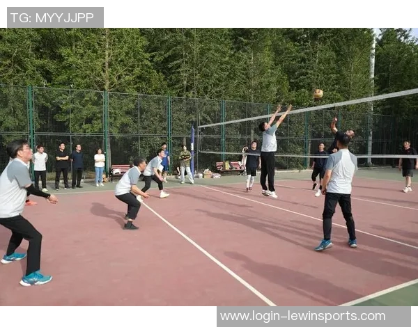 杭州排球队力压群雄荣登最新排球力量TOP10榜首展现强大实力