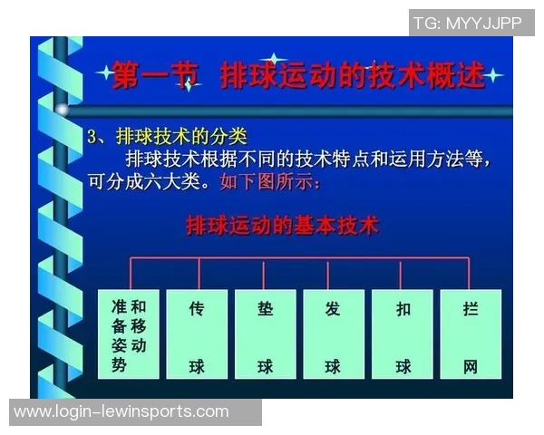 运动最新数据聚焦成都排球队战术创新与团队配合提升竞技水平的探讨